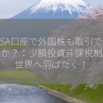 NISA口座で外国株も取引できますか？：少額投資非課税制度で世界へ羽ばたく！